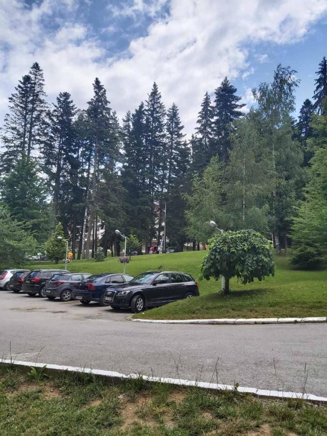 Premium Apartment In Borovets Gardens Complex Buitenkant foto