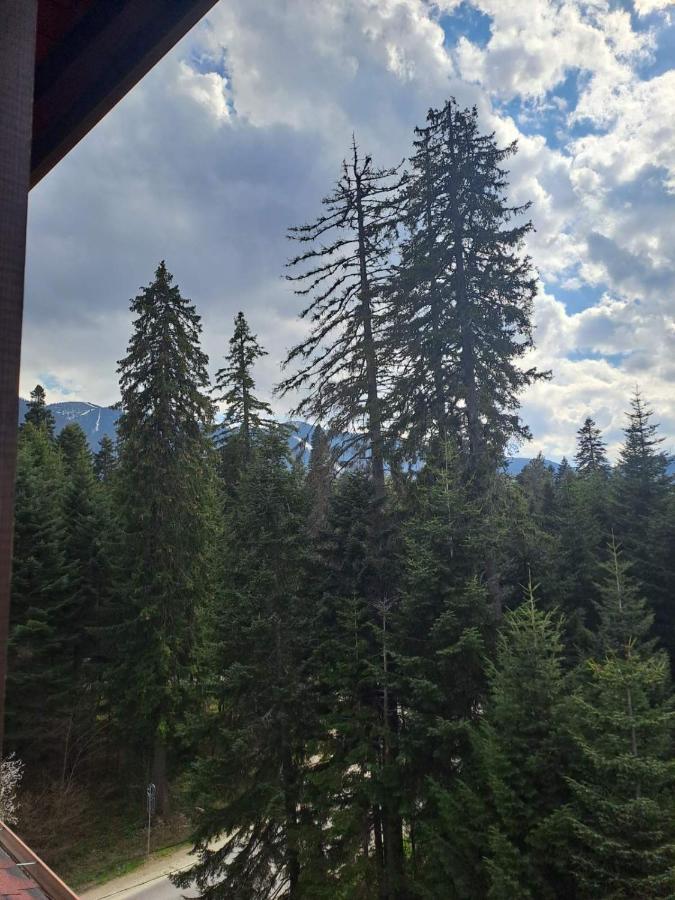 Premium Apartment In Borovets Gardens Complex Buitenkant foto